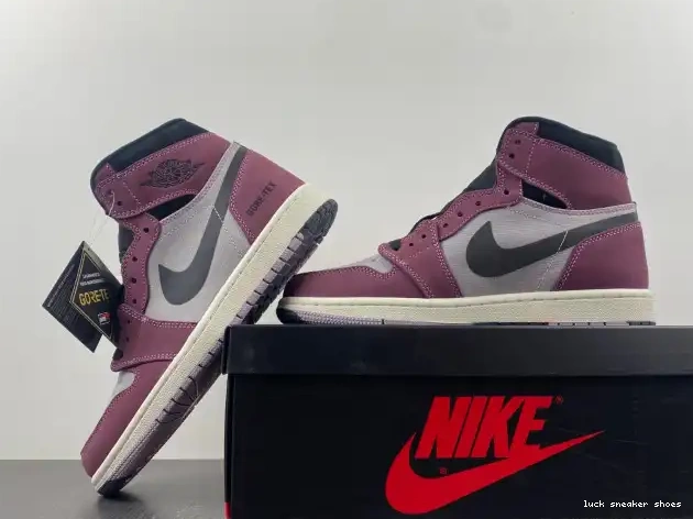 Reps LUCY 1 Gore-Tex Element DB2889-500 Jordan Air 0424